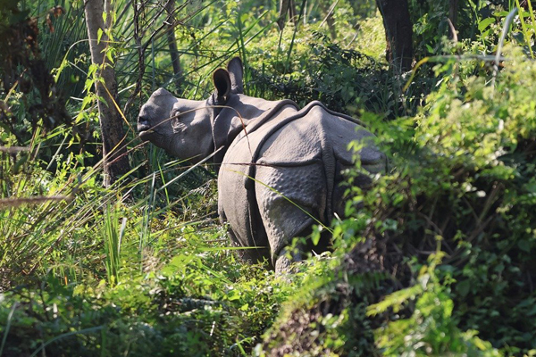 Nepal Tour Package From Gorakhpur
